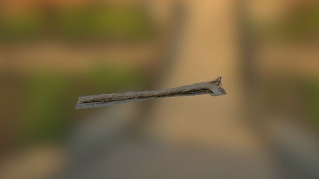 tree_rotten 3D Model
