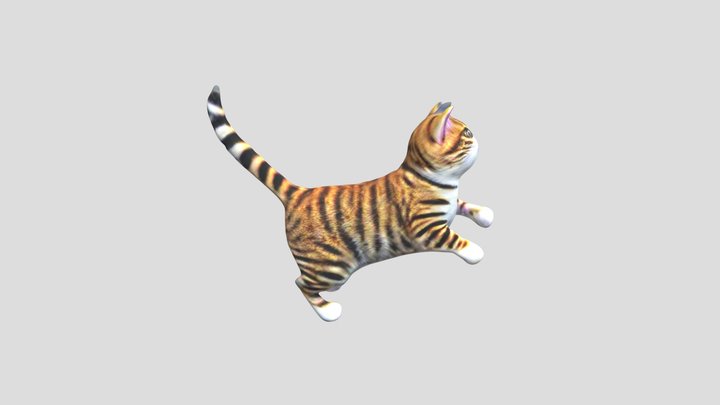 Cat Jumping 3D Model