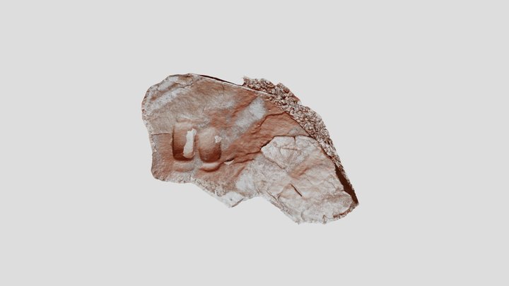 Equipo de Molienda Rupestre 3D Model