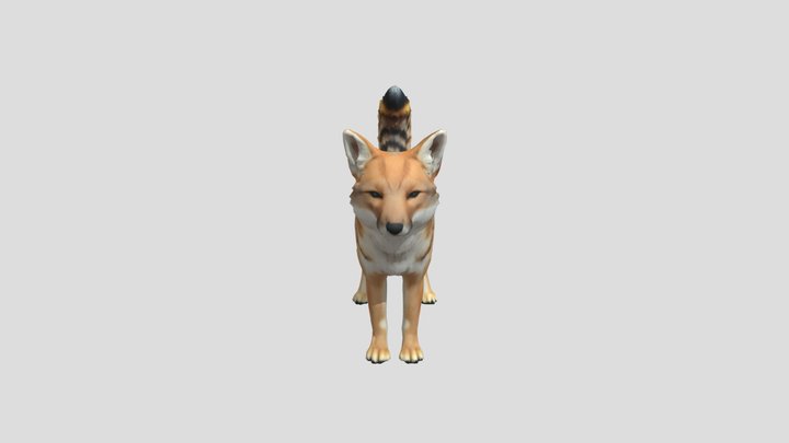 Culpeo Fox – Modello 3D gratuito STL