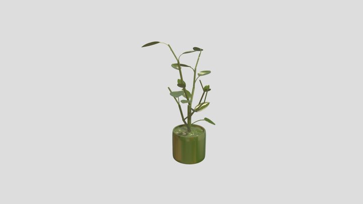 gguccionplantproj 3D Model
