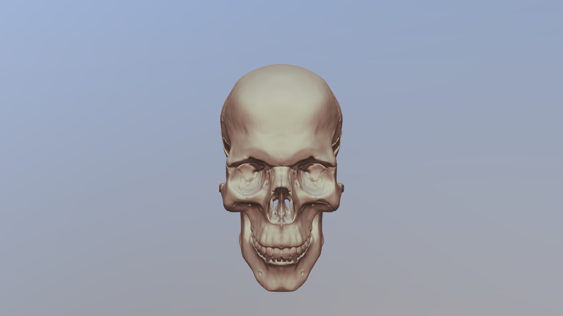 Skull 2018 12 03 - 3d Model By Kyuzo [6f164a7] - Sketchfab