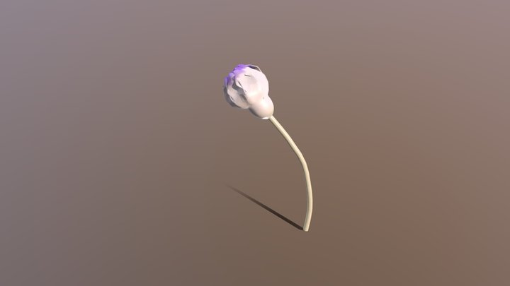 Flower Anim 3D Model