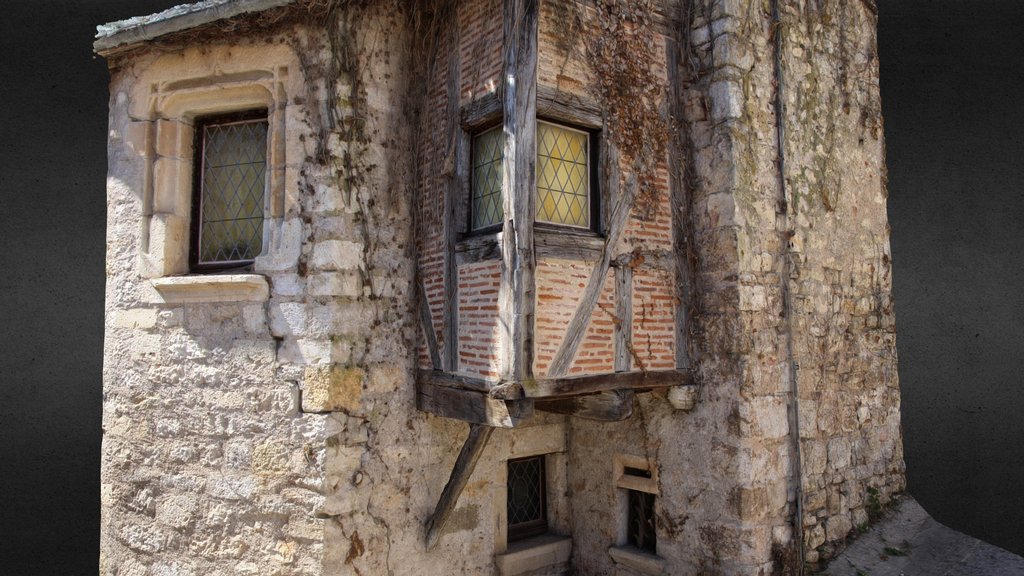 Maison médiévale, Saint-Cirq-Lapopie