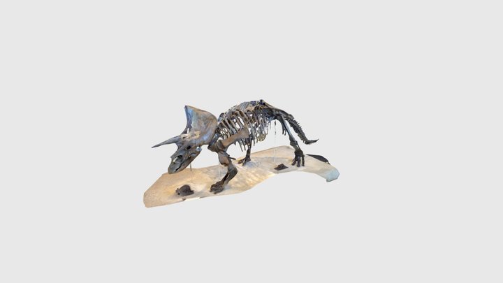 Dino 3D Model