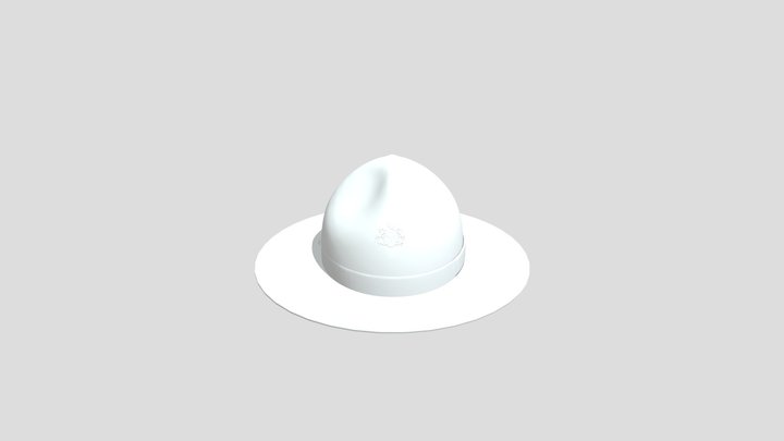 (PSP) Campaign Hat 3D Model