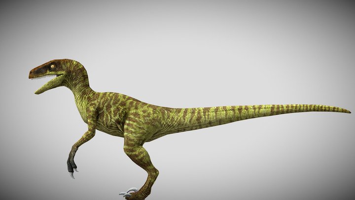 Jurassic World: Camp Cretaceous Velociraptor – Modèle 3D gratuit STL