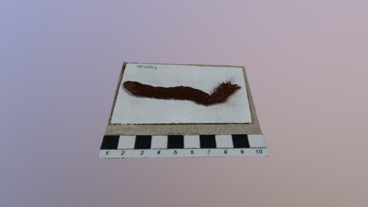 Small Piece of Wool Textile 3D Model