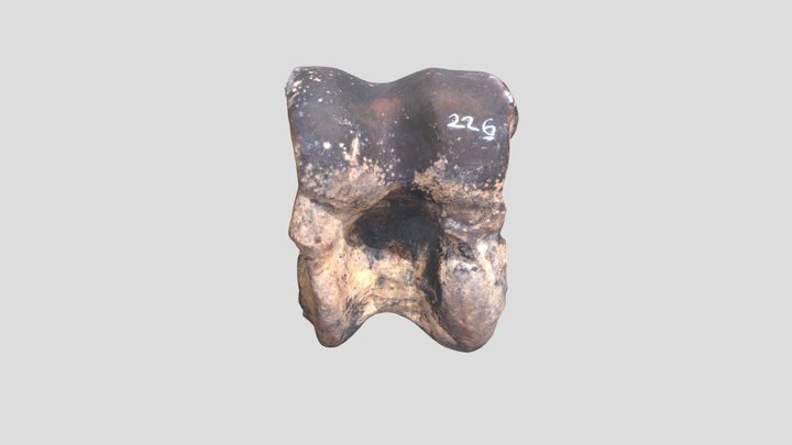 JS226 3D Model