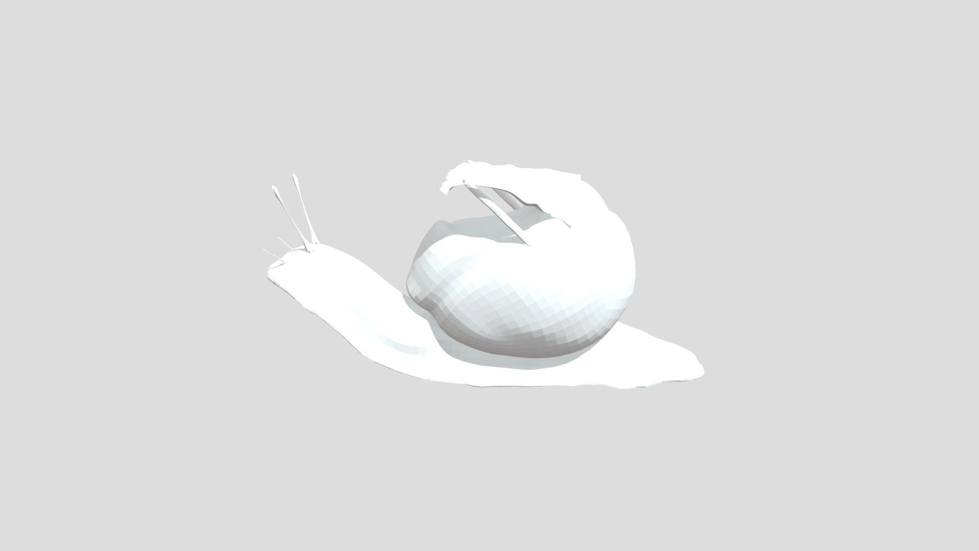 Snail Retopology - 3D model by JoeyDaSlowy [6f29ffd] - Sketchfab