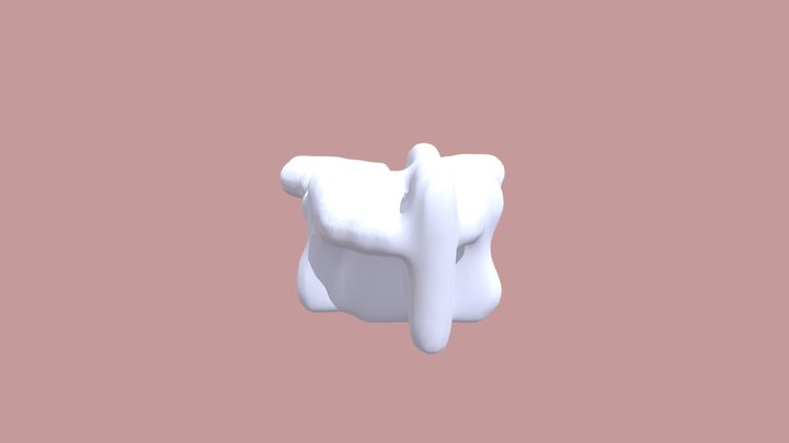 Thoracic Vertebrae 3D Model