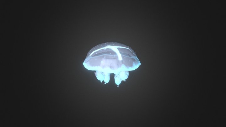 Der Wanderer: Jellyfish 3D Model