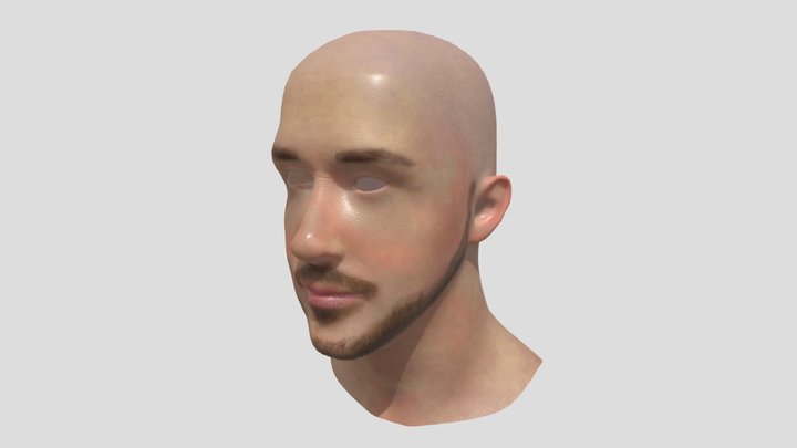 ryan GHOSTling bust 3D Model