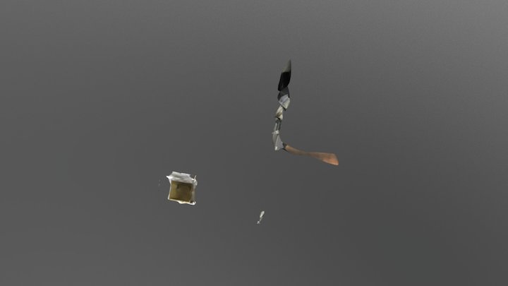 Kyla 5 3D Model