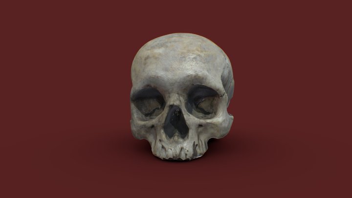 Skull of Snofaeratu 3D Model
