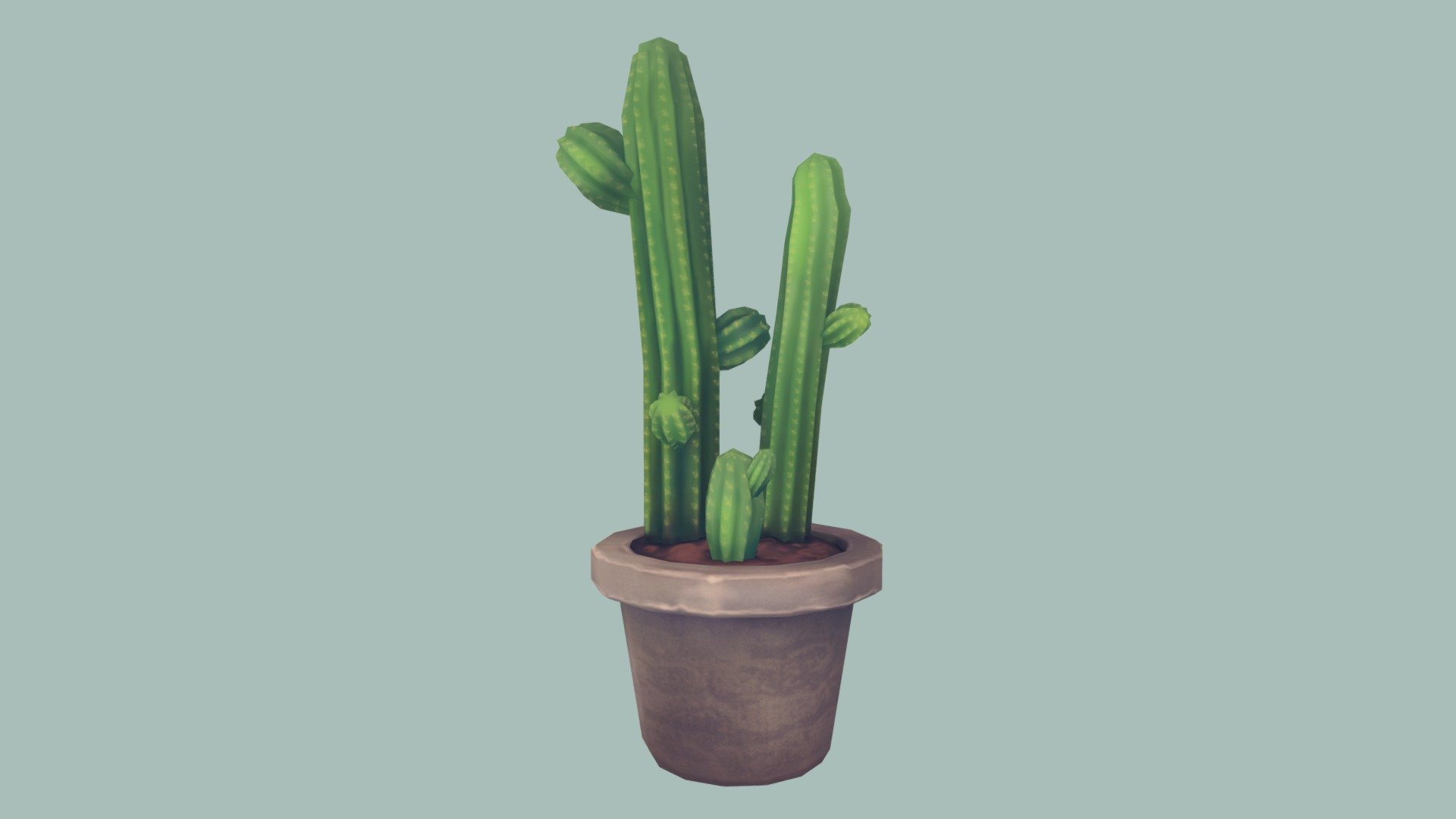 Cactus