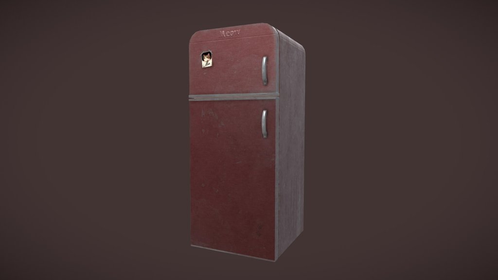 Refrigerator with a photo of a cat