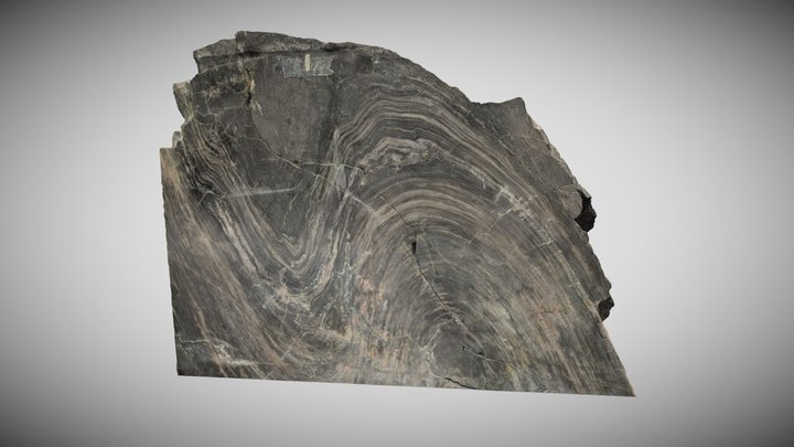 Fold