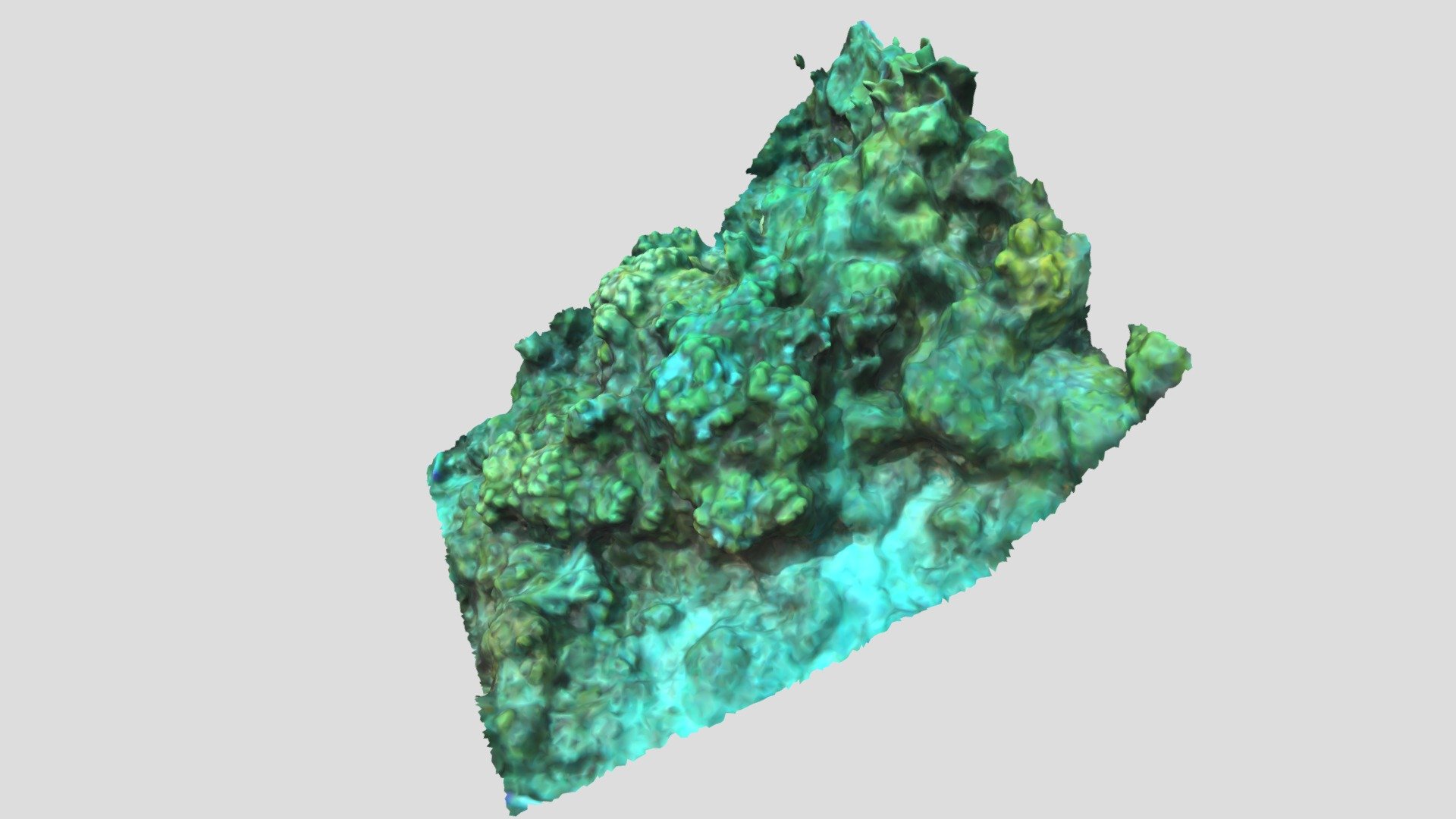 Kokomo_15