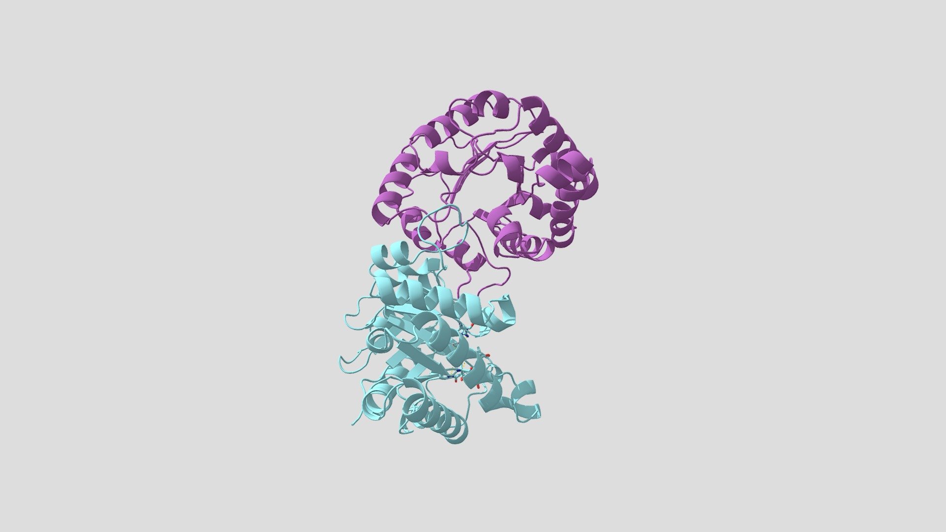Triosephosphate isomerase Giardia lamblia
