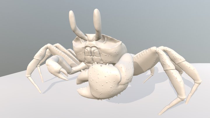 Ghost Crab Sculpt 3D Model