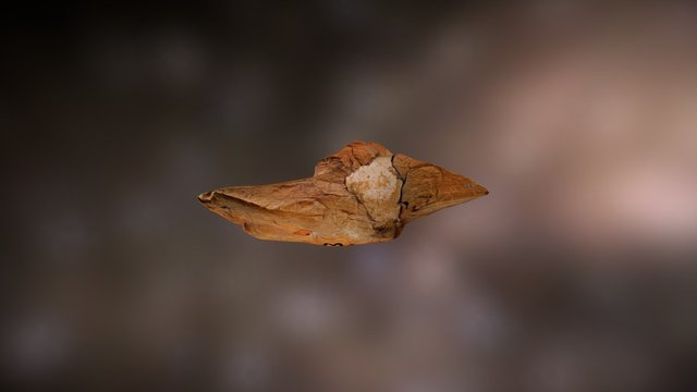 Glacial Dropstone 3D Model