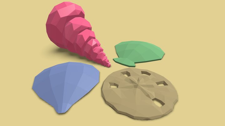 Shells 3D Model