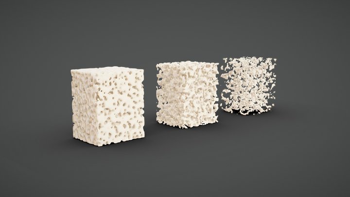 Bone Tissue Structure 3D Model