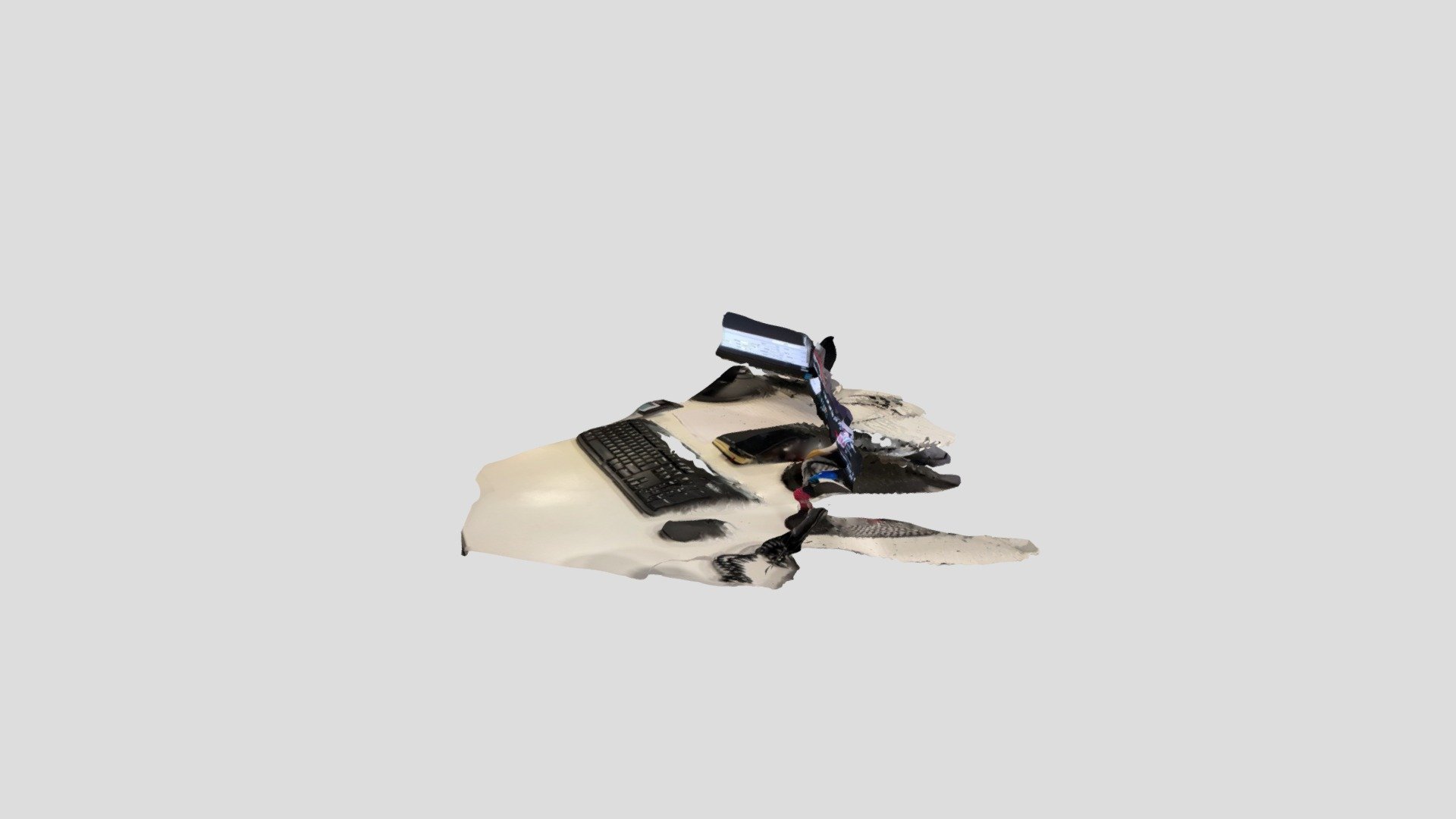 Polycam capture