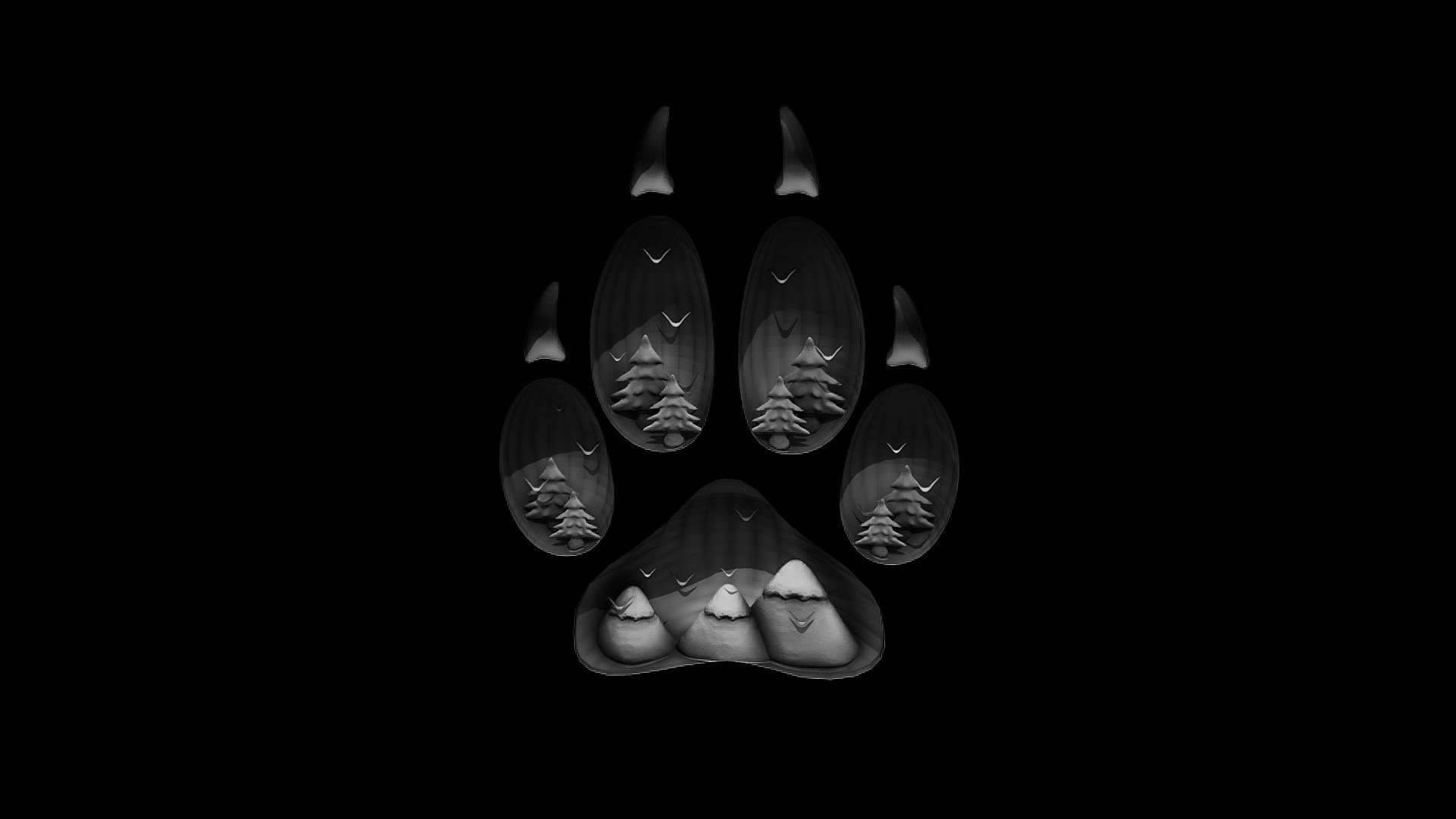 Day 16 - Wild