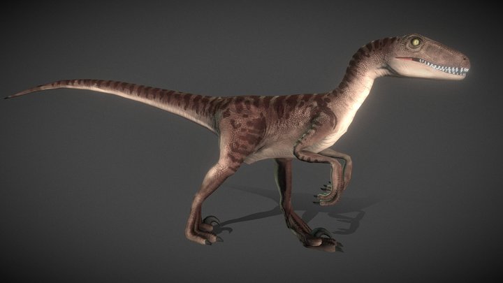 Velociraptor LowPoly 3D Model