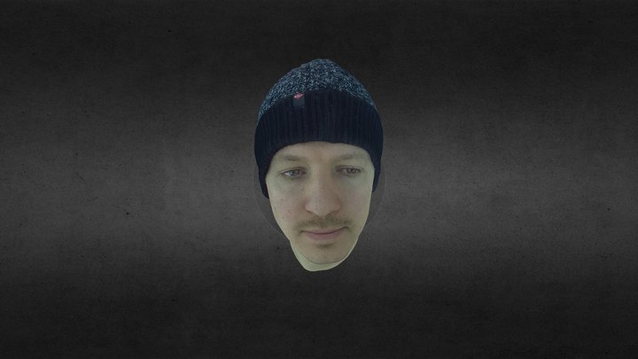 Scanned Head 3D Model