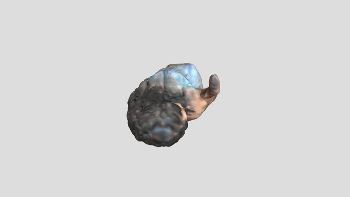 Linda Karmra 3D Model