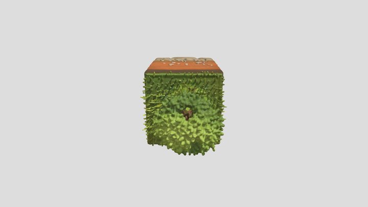 Solo Em 3D