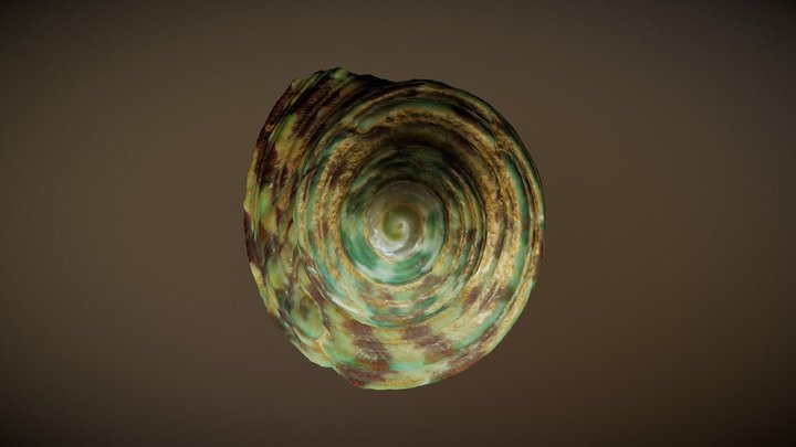 Tiny Green Shell (HighRez) 3D Model