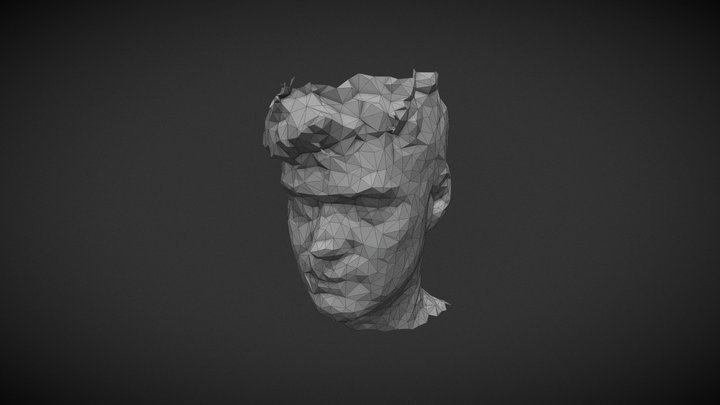 Arthew0 3D Model