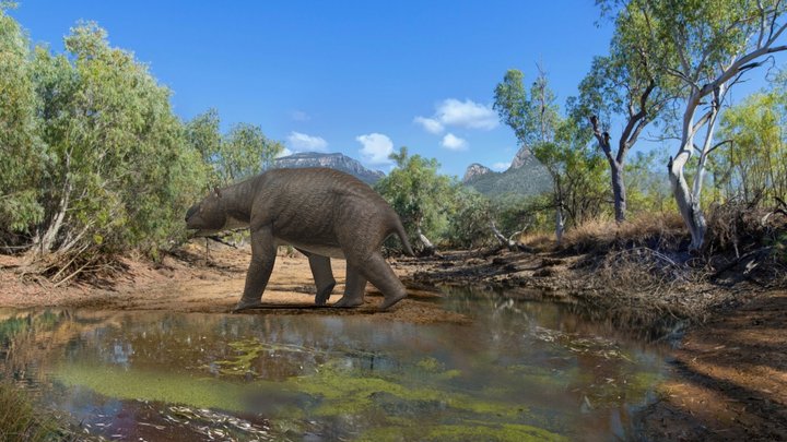Diprotodon the largest ever marsupial - A 3D model collection by