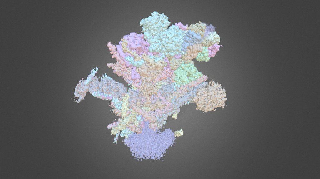 CryoEM on Cover of Science - EMD 6413 - 3D model by Interactive 3D Data ...