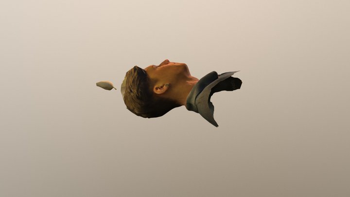 Ross 3D Model