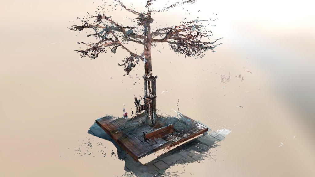 Tree with Bench again