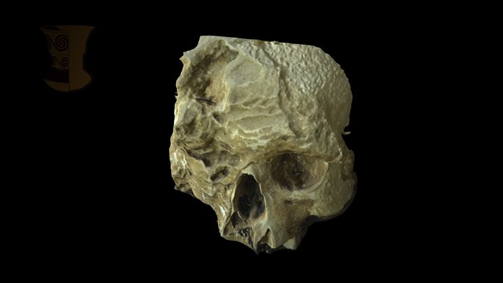Travertine skull 3D Model
