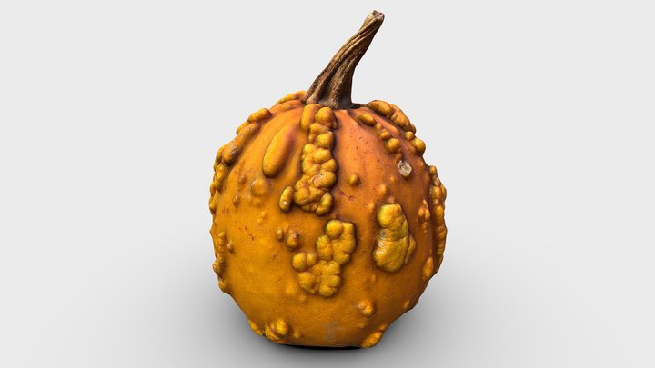 Warty Pumpkin Scan High Detail – Gratis 3D-model STL