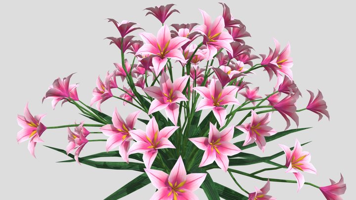Lily Flower 3d model 3D Model