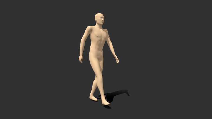 male v2 walk forward 3D Model