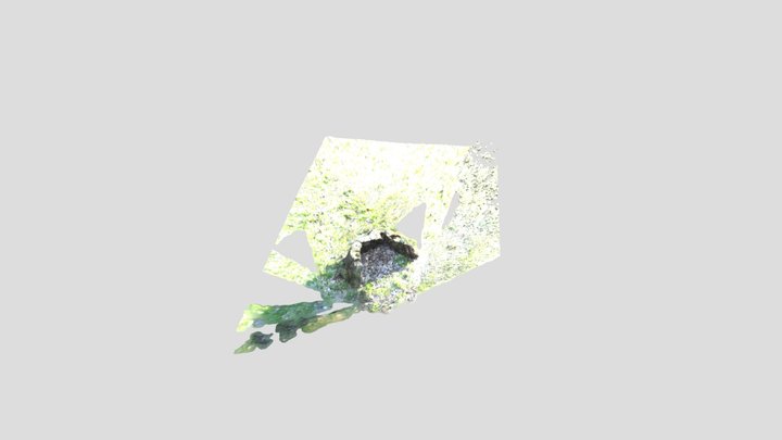 Tree Trunk Kaunas 3D Model