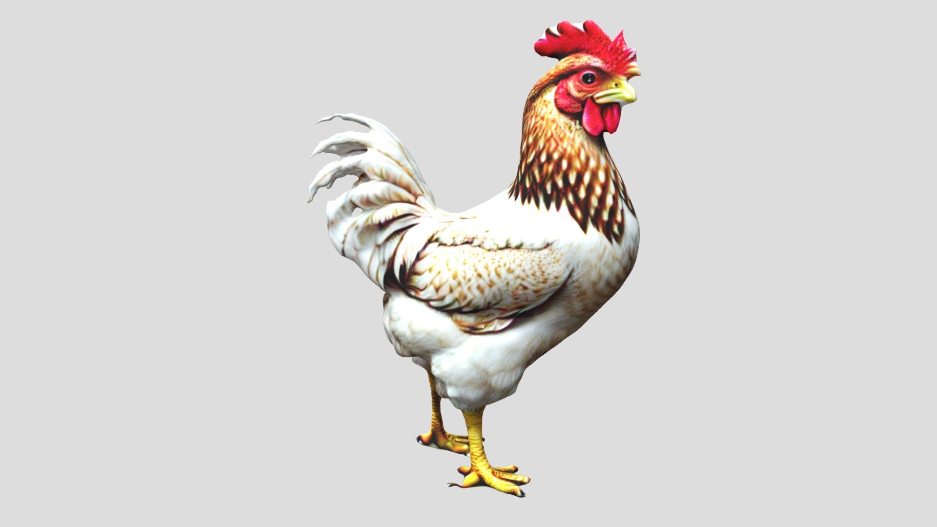 1,172 Realistic Drawing Rooster Images, Stock Photos, 3D objects