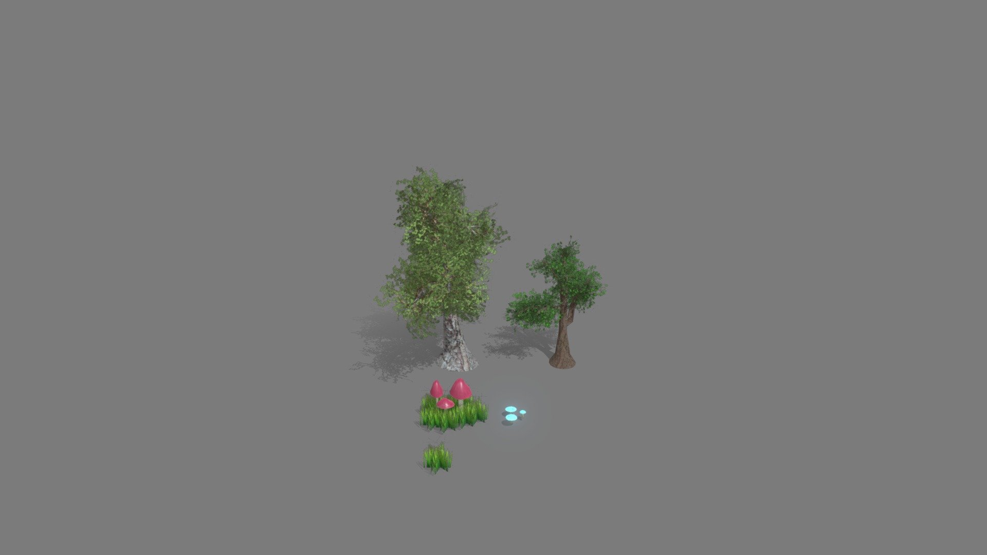 pbacherFoliageProjectFinal