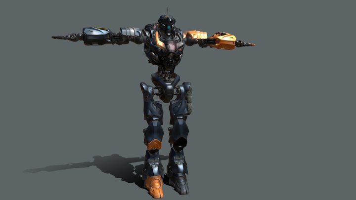 RIGB - Chappie Style Texture 3D Model