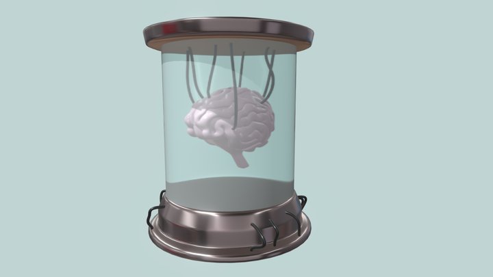 Brain in a Jar 3D Model