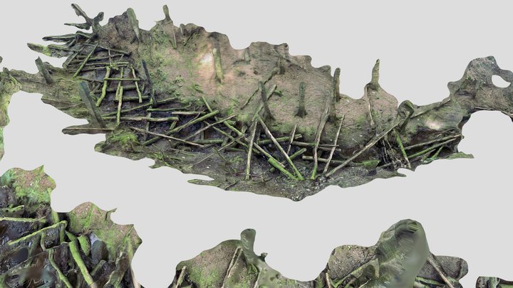 Diss_moreimages 3D Model